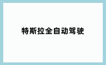 特斯拉全自动驾驶