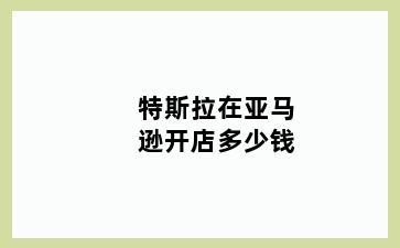特斯拉在亚马逊开店多少钱