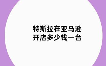 特斯拉在亚马逊开店多少钱一台