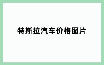 特斯拉汽车价格图片