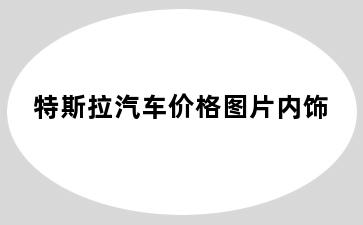 特斯拉汽车价格图片内饰