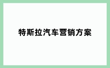特斯拉汽车营销方案