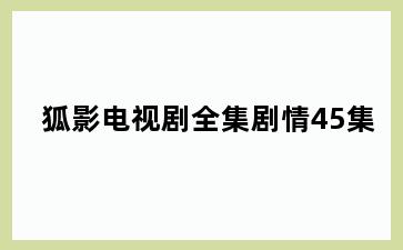 狐影电视剧全集剧情45集