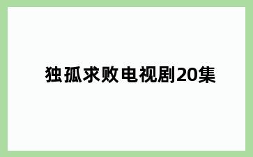 独孤求败电视剧20集