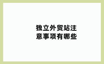 独立外贸站注意事项有哪些
