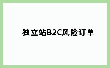 独立站B2C风险订单