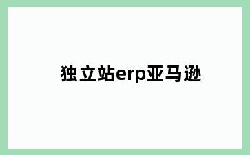 独立站erp亚马逊