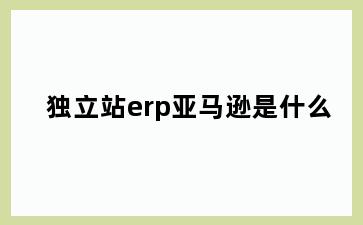 独立站erp亚马逊是什么