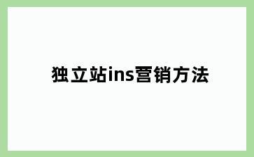 独立站ins营销方法