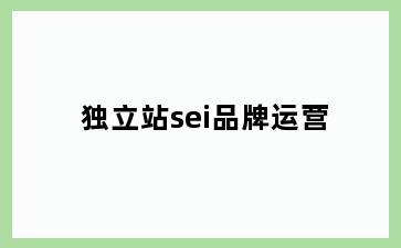 独立站sei品牌运营