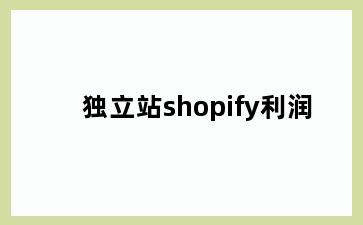 独立站shopify利润