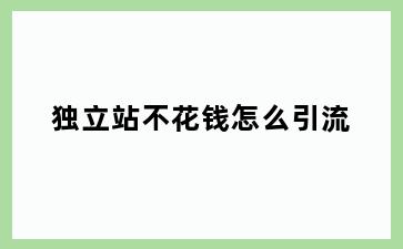独立站不花钱怎么引流