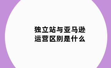 独立站与亚马逊运营区别是什么
