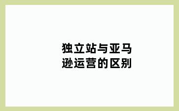 独立站与亚马逊运营的区别