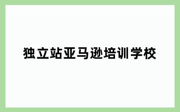 独立站亚马逊培训学校