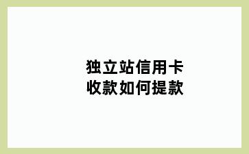 独立站信用卡收款如何提款