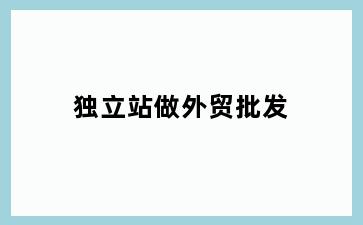 独立站做外贸批发