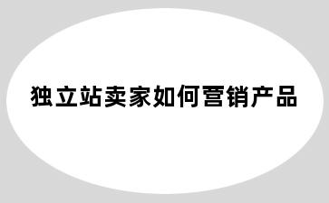 独立站卖家如何营销产品