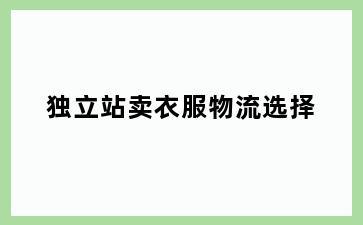 独立站卖衣服物流选择