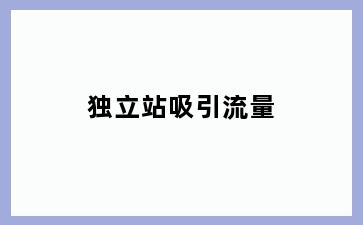 独立站吸引流量