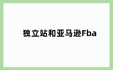 独立站和亚马逊Fba