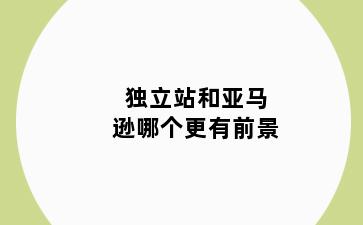 独立站和亚马逊哪个更有前景