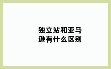 独立站和亚马逊有什么区别