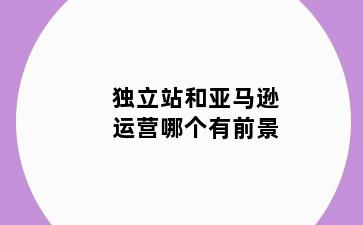 独立站和亚马逊运营哪个有前景