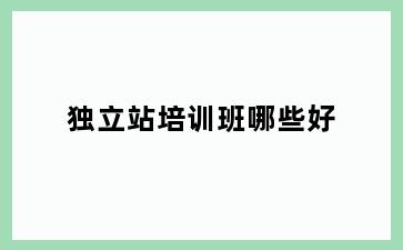 独立站培训班哪些好