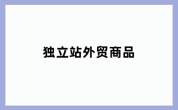 独立站外贸商品