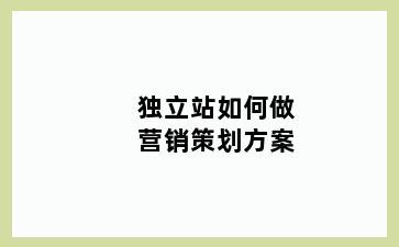 独立站如何做营销策划方案
