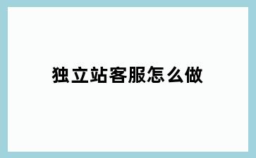 独立站客服怎么做