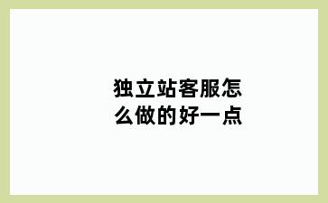 独立站客服怎么做的好一点