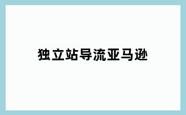 独立站导流亚马逊
