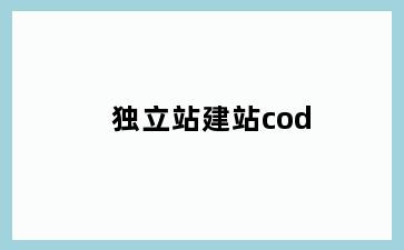 独立站建站cod