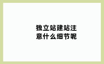 独立站建站注意什么细节呢