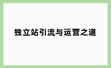独立站引流与运营之道