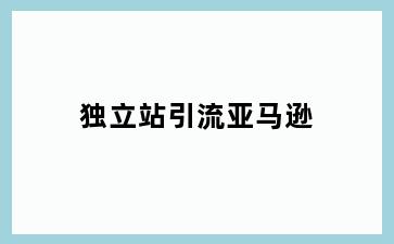 独立站引流亚马逊