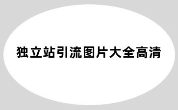 独立站引流图片大全高清