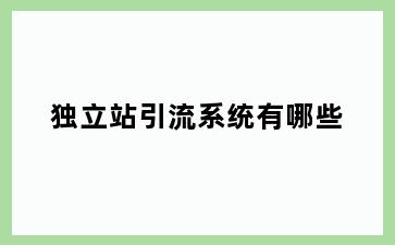 独立站引流系统有哪些