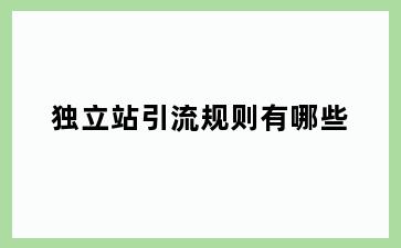 独立站引流规则有哪些