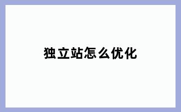 独立站怎么优化