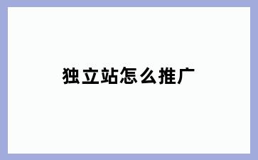 独立站怎么推广