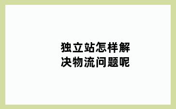 独立站怎样解决物流问题呢