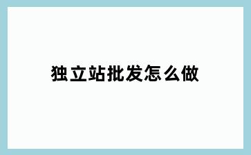 独立站批发怎么做