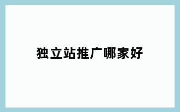 独立站推广哪家好