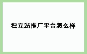 独立站推广平台怎么样