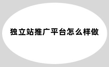 独立站推广平台怎么样做