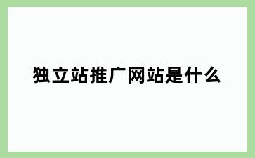 独立站推广网站是什么