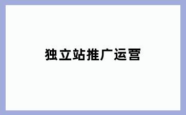 独立站推广运营